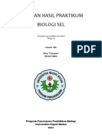 Laporan Hasil Praktikum Biologi Sel Glory Saragih