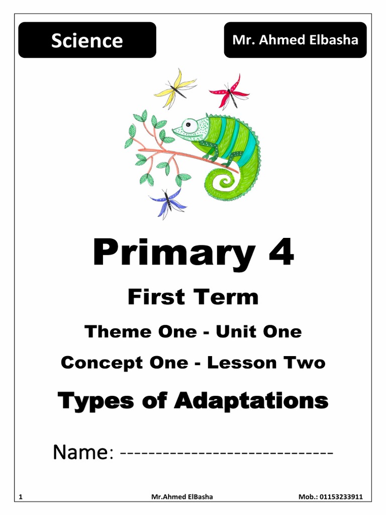 Grade 4 - Unit 1 - Concept 1 Lesson 2 | PDF