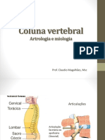 Coluna Vertebral Artrologia e Miologia