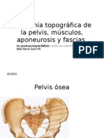 Anatomía Topográfica de La Pelvis, Músculos