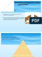 Tema 9 Dimensiones Del Diagnóstico