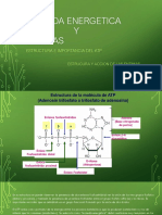 ATP Y ENZIMAS 