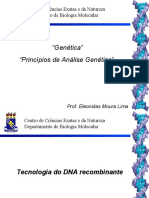 Aula 2 Dna - Recombinante