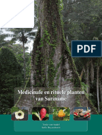 Medicinale en Rituele Planten Van Suriname