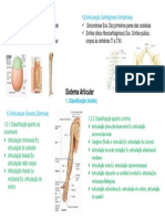 Mapa Mental Sistema Articular