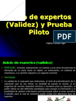 Proceso Validez y PPiloto-2019