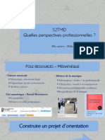 S2TMD Conf 3 - Perspectives Professionnelles C Louis 1151839