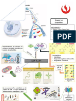 Esquemas de ADN Y ARN