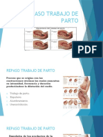 Repaso Trabajo de Parto 2