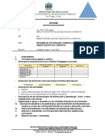 Formato de Informe Primer Trimestre Coripata