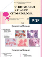 Trabalho Banco de Imagens - Atlas de Citopatologia