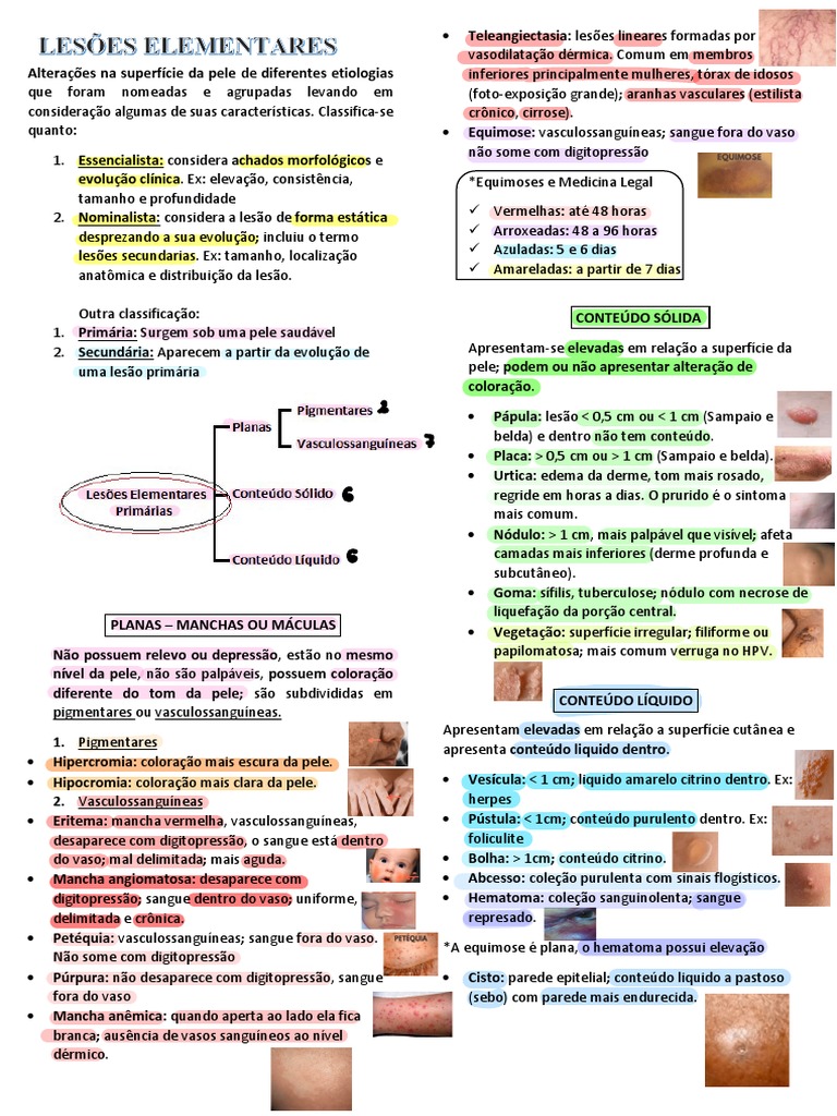 Resumo Lesões Elementares Pdf Pele Especialidades Médicas