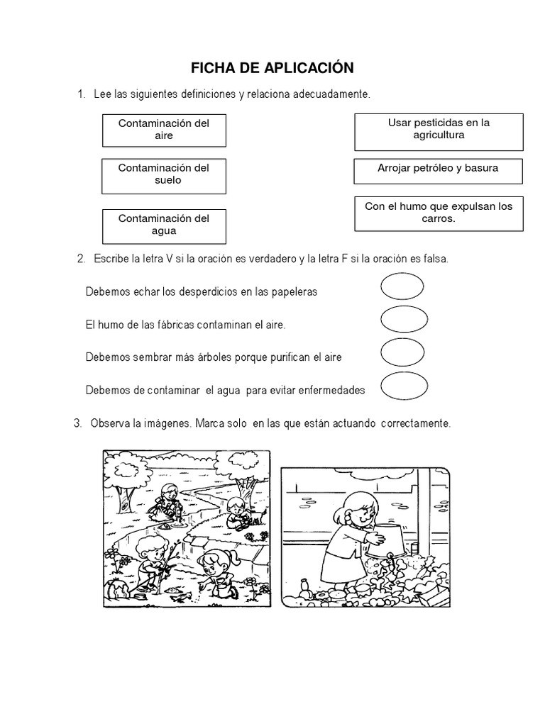 Ficha de Aplicación de Personal Social | PDF