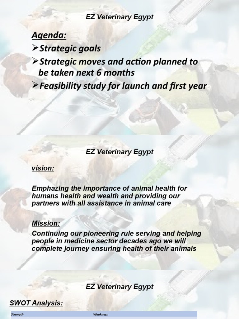 EZ Veterinary Egypt PDF Equity (Finance) Market (Economics)