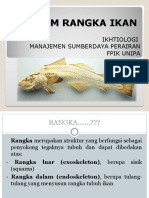 Sistem Rangka Ikan