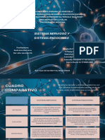 Cuadro Comparativo