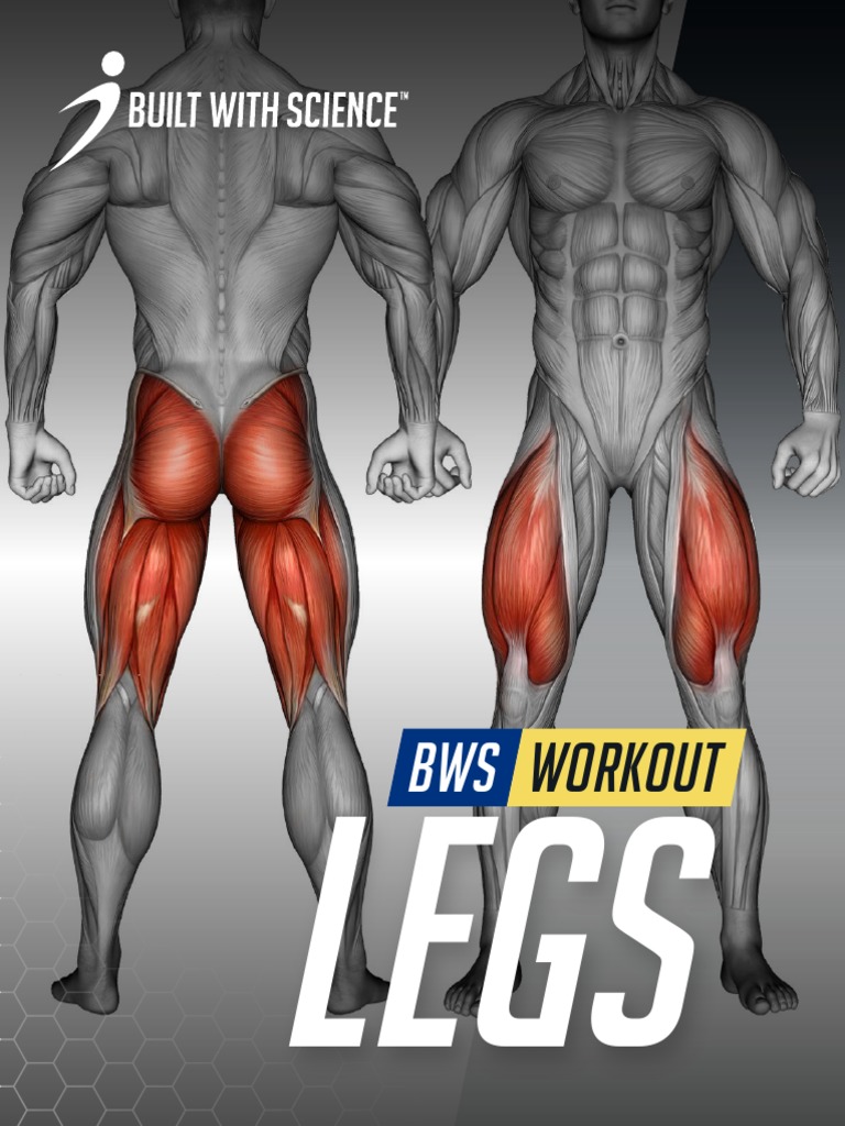 Science-Based Leg Workout Routine | PDF | Foot | Dietitian