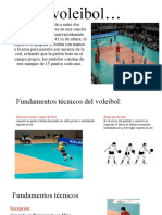 Edu - Fisica Voleibol