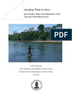 Defending What Is Ours:: Territorial Property Rights, Maps and Indigeneity in The Peruvian Central Rain Forest