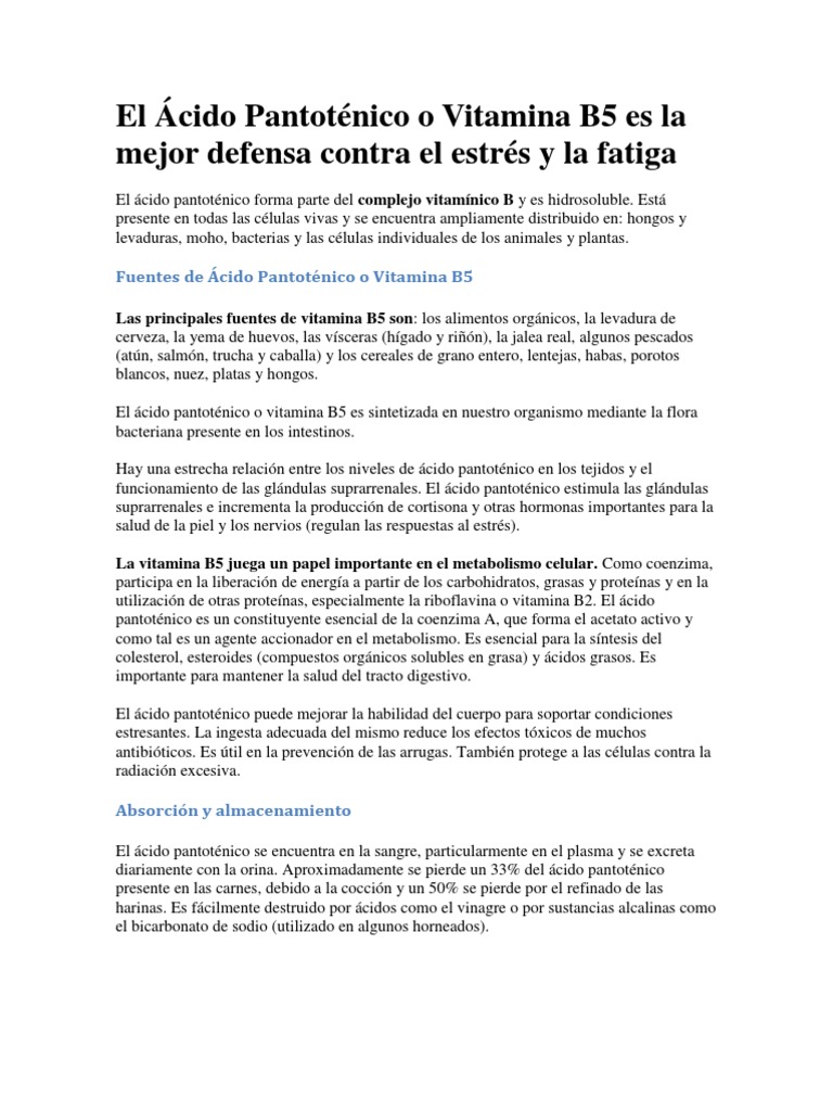 El Ácido Pantoténico o Vitamina B5 Es La Mejor Defensa Contra El Estrés