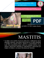 Diapositivas - Mastitis - MVZ