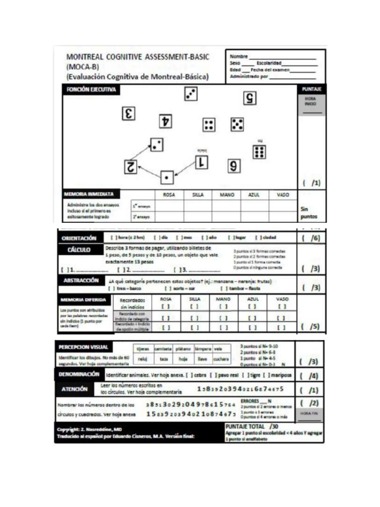 Moca basic pdf