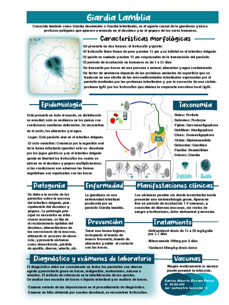 Laminario Giardia Lamblia | PDF | Especialidades Medicas | Ciencias de ...
