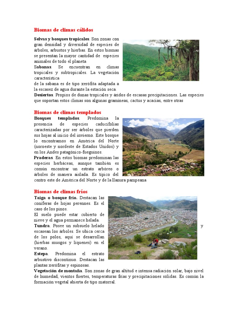 Biomas de Climas Cálidos | Descargar gratis PDF | Américas | Clima