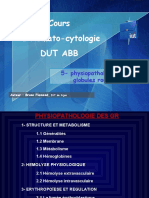 5 physiopathGR-1