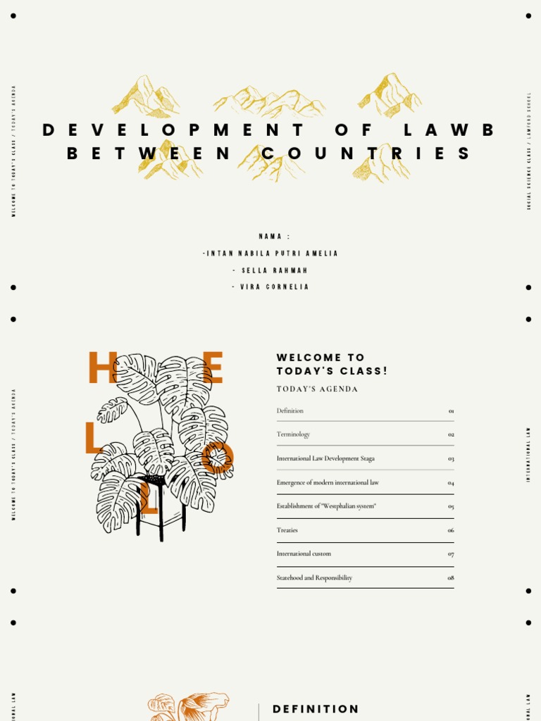 Development of lawb between countries pdf international law treaty