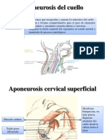 Aponeurosis Cervical SUPERFICIAL Media y Profunda