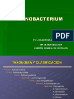 Arc A No Bacterium