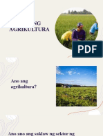 Sektor NG Agrikultura