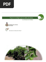 Download Paquete Tecnologico LIMON Colima by Mayra Flores SN65311749 doc pdf