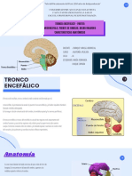 Tronco Encefálico - Partes