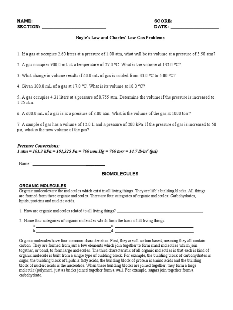 Biomolecule Review Worksheet PDF Carbohydrates Dna