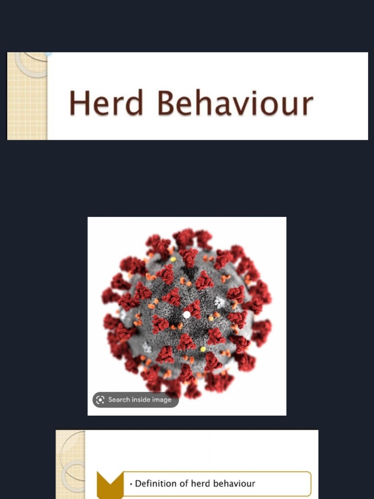 Herd Behavior PDF