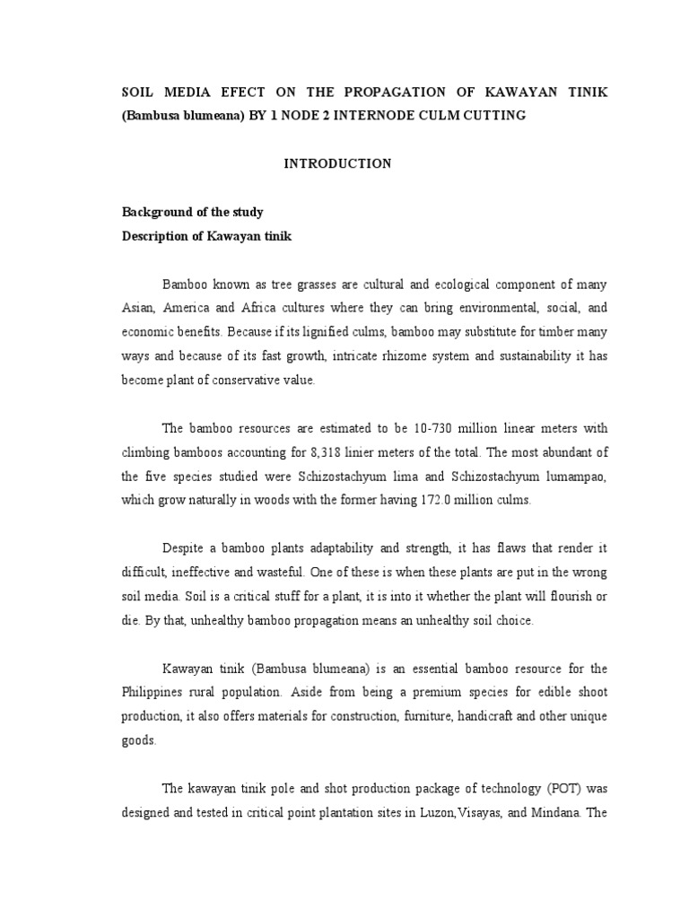 Thesis Outline | PDF