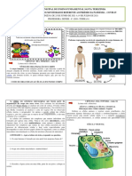 Ciencias 6 Quinzena - t61 22090825