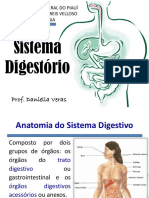 Sistema digestório