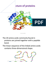 4.structure of Proteins