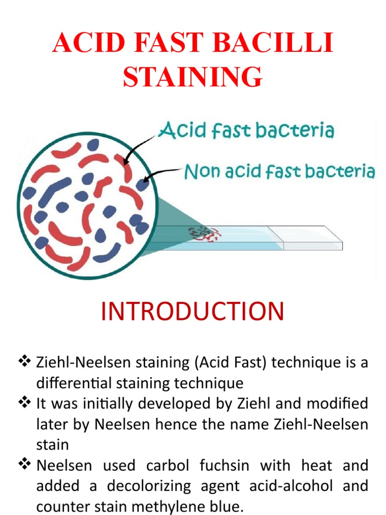 microbe-notes-ziehl-neelsen-technique-afb-stain-staining-43-off