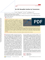 Characterization of The Cell Nanopillar Interface by Transmission Electron Micros