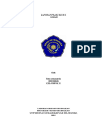 Format Laporan Praktikum Darah