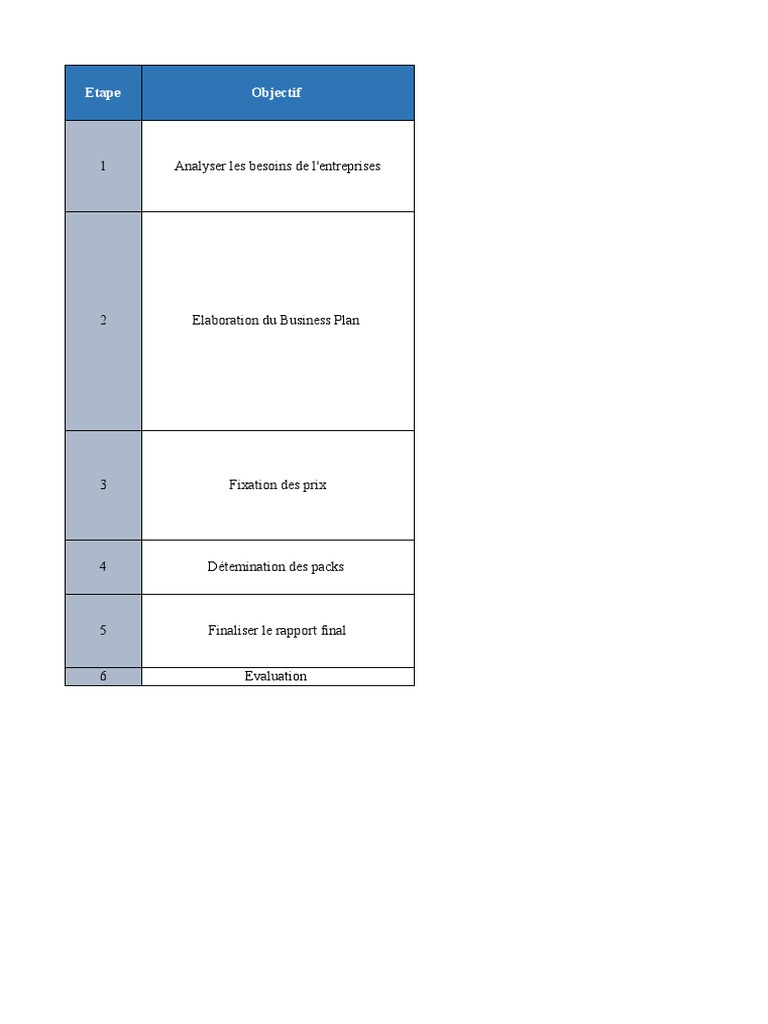 LE PLAN D ACTION OU PLAN D ACTIONS intelligence overview