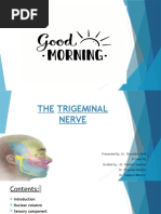 Local Anesthetic Injection Chart - Ofa | PDF | Human Head And Neck ...