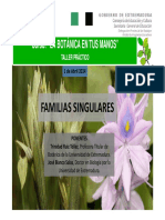 Familias Singulares-1