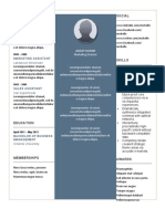 Expressive PLANTILLA CV