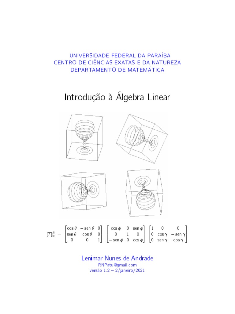 2021 Lenimar AlgLin | PDF | Matriz (Matemática) | Conceitos