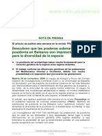 Prensa - 2008 - Network